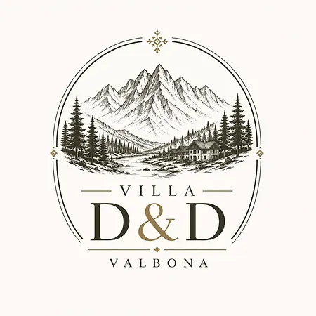 D&d